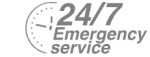 24/7 Emergency Service Pest Control in Borehamwood, Elstree, Well End, WD6. Call Now! 020 8166 9746