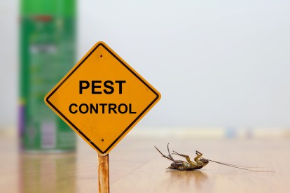 Pest Contol in Borehamwood, Elstree, Well End, WD6. Call Now 020 8166 9746